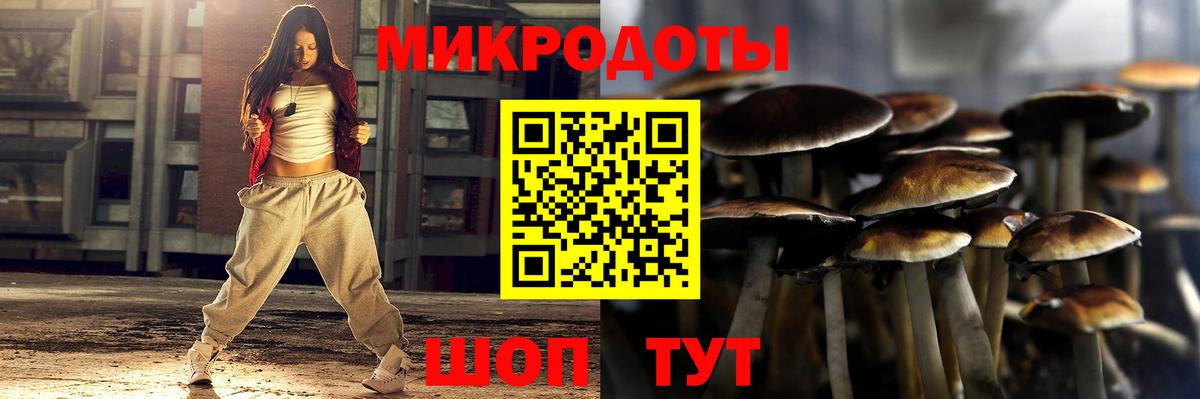Псилоцибиновые грибы Cubensis Рузаевка