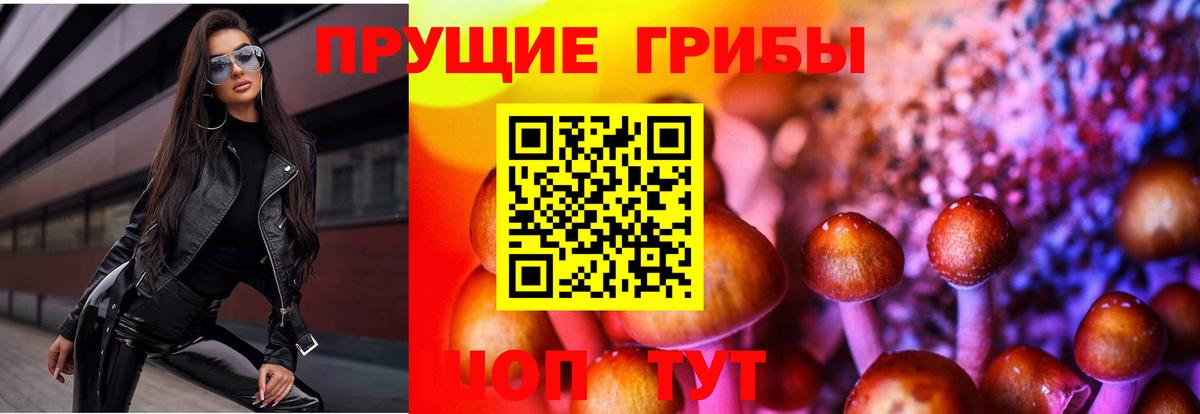 Псилоцибиновые грибы прущие грибы  Вход с VPN  продажа наркотиков  Рузаевка  Галлюциногенные грибы мицелий 